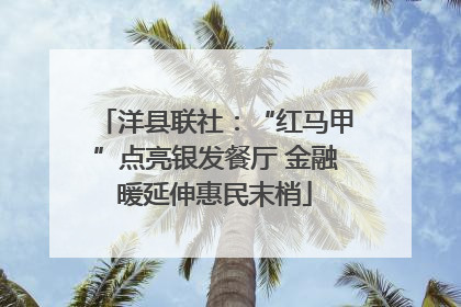 洋县联社：“红马甲”点亮银发餐厅 金融暖延伸惠民末梢