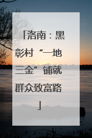 洛南：黑彰村“一地三金”铺就群众致富路