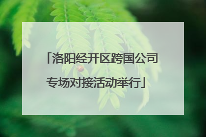 洛阳经开区跨国公司专场对接活动举行