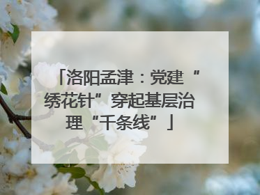 洛阳孟津：党建“绣花针”穿起基层治理“千条线”