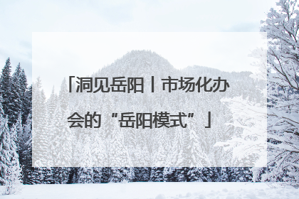 洞见岳阳丨市场化办会的“岳阳模式”