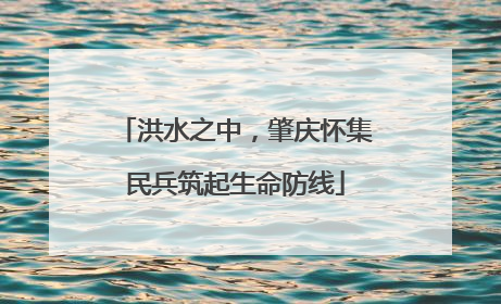 洪水之中，肇庆怀集民兵筑起生命防线