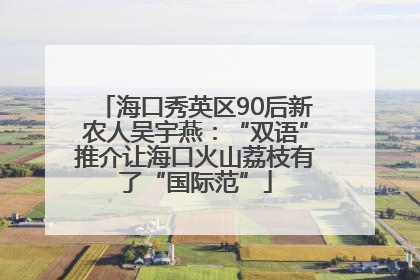海口秀英区90后新农人吴宇燕：“双语”推介让海口火山荔枝有了“国际范”