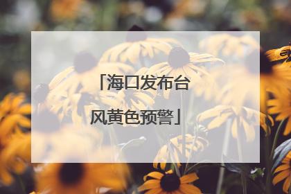 海口发布台风黄色预警