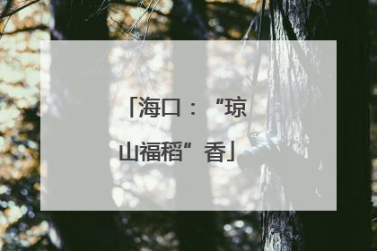 海口：“琼山福稻”香
