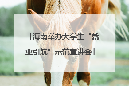 海南举办大学生“就业引航”示范宣讲会