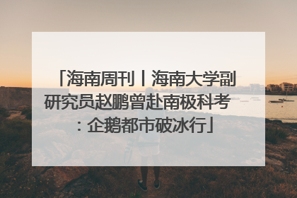 海南周刊丨海南大学副研究员赵鹏曾赴南极科考：企鹅都市破冰行
