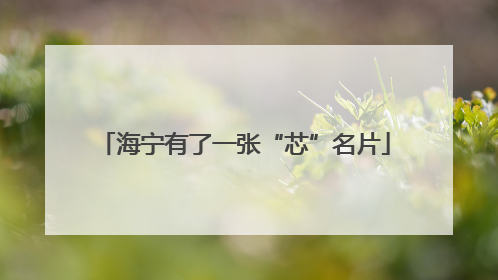海宁有了一张“芯”名片