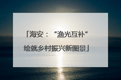 海安：“渔光互补” 绘就乡村振兴新图景