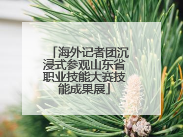 海外记者团沉浸式参观山东省职业技能大赛技能成果展
