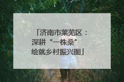 济南市莱芜区：深耕“一株桑” 绘就乡村振兴图