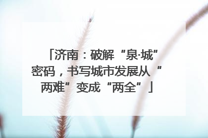 济南：破解“泉·城”密码，书写城市发展从“两难”变成“两全”