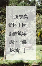 济宁高新区王因街道筑牢遗址“保护墙”