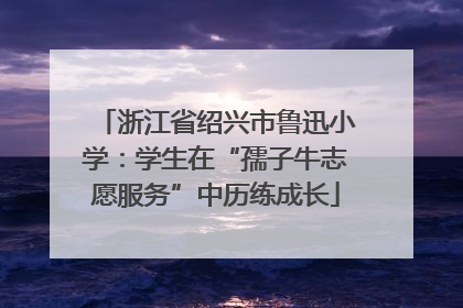 浙江省绍兴市鲁迅小学：学生在“孺子牛志愿服务”中历练成长
