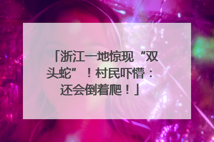 浙江一地惊现“双头蛇”！村民吓懵：还会倒着爬！