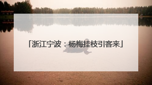 浙江宁波：杨梅挂枝引客来