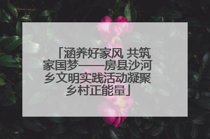 涵养好家风 共筑家国梦——房县沙河乡文明实践活动凝聚乡村正能量