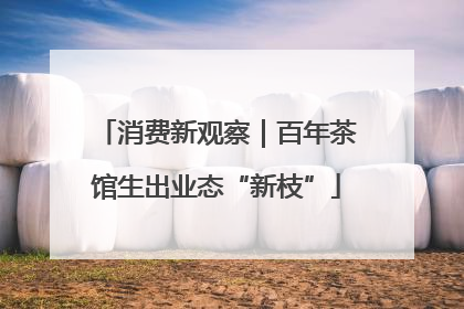 消费新观察｜百年茶馆生出业态“新枝”