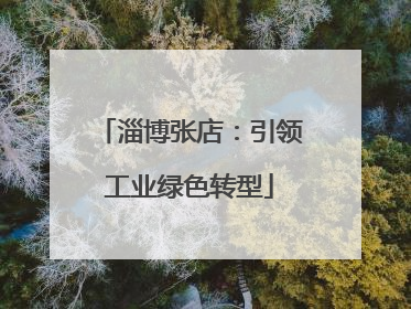 淄博张店：引领工业绿色转型