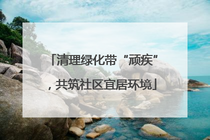 清理绿化带“顽疾”，共筑社区宜居环境