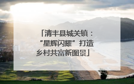 清丰县城关镇：“星辉闪耀”打造乡村共富新图景