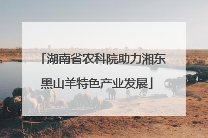 湖南省农科院助力湘东黑山羊特色产业发展