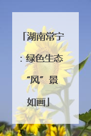 湖南常宁：绿色生态 “风”景如画