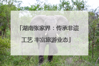 湖南张家界：传承非遗工艺 丰富旅游业态