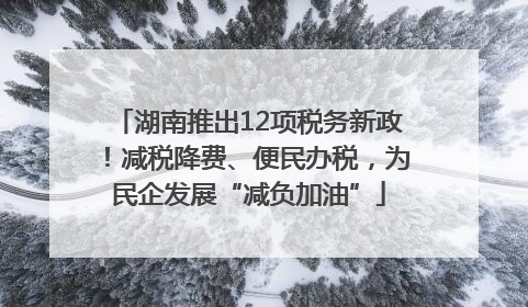 湖南推出12项税务新政！减税降费、便民办税，为民企发展“减负加油”