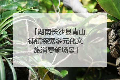 湖南长沙县青山铺镇探索多元化文旅消费新场景