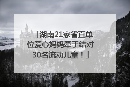 湖南21家省直单位爱心妈妈牵手结对30名流动儿童！
