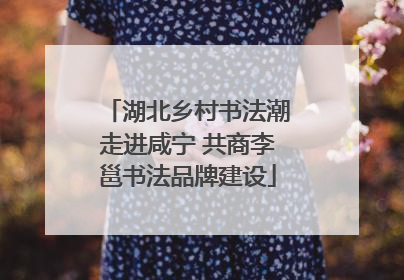 湖北乡村书法潮走进咸宁 共商李邕书法品牌建设