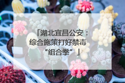 湖北宜昌公安：综合施策打好禁毒“组合拳”