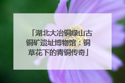 湖北大冶铜绿山古铜矿遗址博物馆：铜草花下的青铜传奇