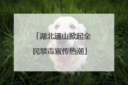 湖北通山掀起全民禁毒宣传热潮