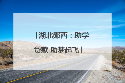 湖北郧西：助学贷款 助梦起飞