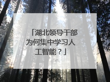 湖北领导干部为何集中学习人工智能？