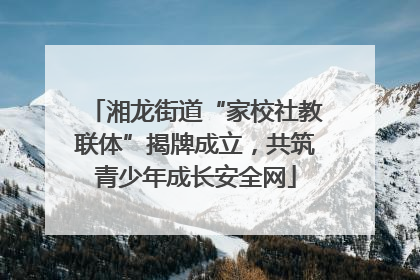 湘龙街道“家校社教联体”揭牌成立，共筑青少年成长安全网