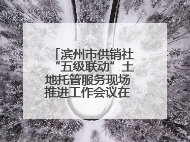 滨州市供销社“五级联动”土地托管服务现场推进工作会议在无棣县举办