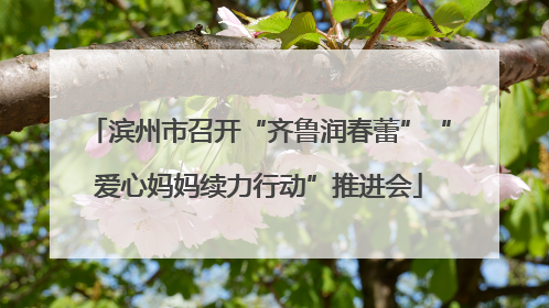 滨州市召开“齐鲁润春蕾”“爱心妈妈续力行动”推进会