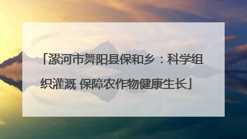漯河市舞阳县保和乡：科学组织灌溉 保障农作物健康生长