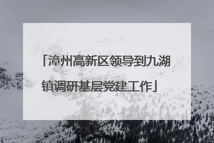 漳州高新区领导到九湖镇调研基层党建工作