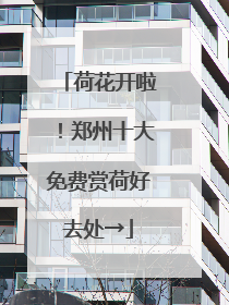 荷花开啦！郑州十大免费赏荷好去处→