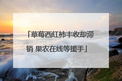 草莓西红柿丰收却滞销 果农在线等援手