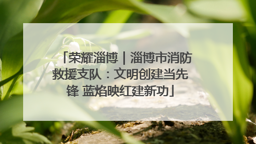 荣耀淄博｜淄博市消防救援支队：文明创建当先锋 蓝焰映红建新功