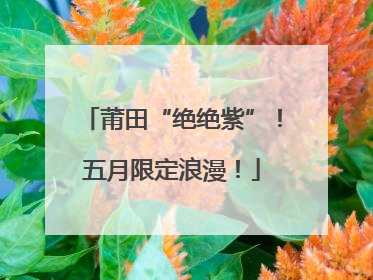 莆田“绝绝紫”！五月限定浪漫！
