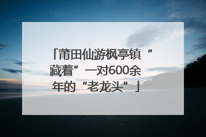 莆田仙游枫亭镇“藏着”一对600余年的“老龙头”