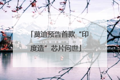 莫迪预告首款“印度造”芯片问世