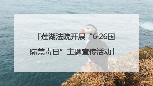 莲湖法院开展“6·26国际禁毒日”主题宣传活动