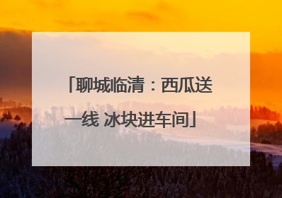 聊城临清：西瓜送一线 冰块进车间